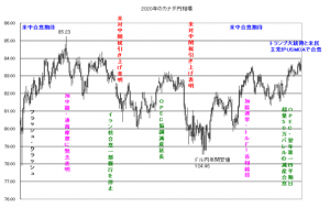 カナダ円-2020年相場予想と戦略-