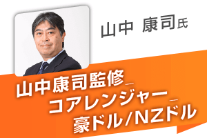 アイルランド代表　USLsize 日本XLsize相当 アイルランド代表 USLsize 日本XLsize相当 - メルカリ