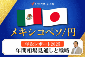 73,060円相当　チャレンジ4.5年生2024年４月〜2025年４月 6031 ZETA 2024年12月期決算レポート｜小野和彦