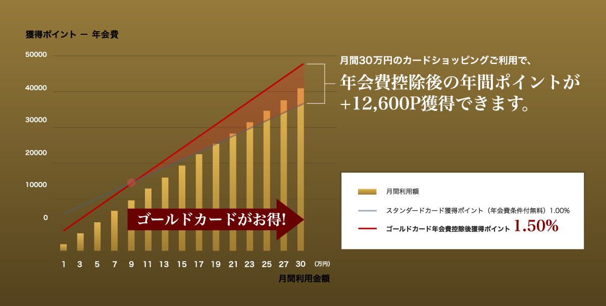 月間300千円のカードショッピングご利用で、年会費控除後の年間ポイントが +12,600P獲得できます。