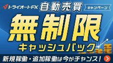 自動売買キャンペーンバナー