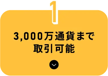 3,000万通貨まで取引可能